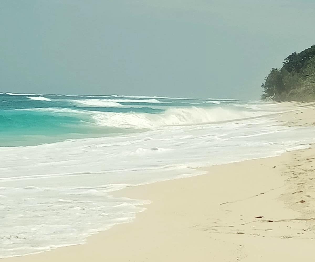 Sumba 23ha Peninsula Beachfront Land for Sale | Matauki Bay Investment Opportunity