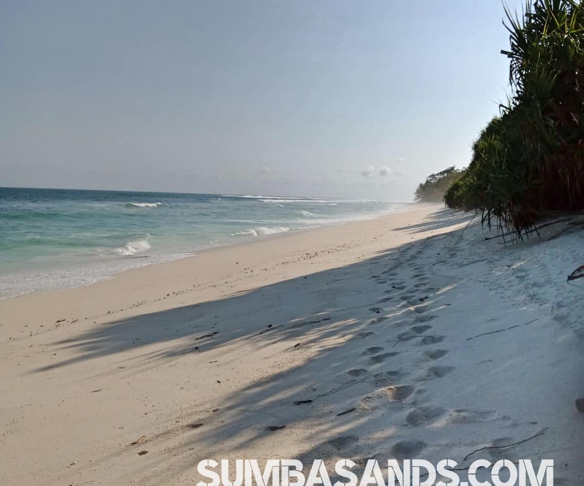 Sumba 23ha Peninsula Beachfront Land for Sale | Matauki Bay Investment Opportunity