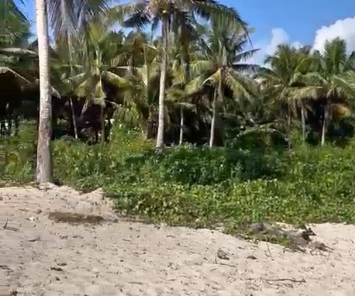 Pure beachfront. 0.5 hectares of untouched coastline for 25 per sqm.