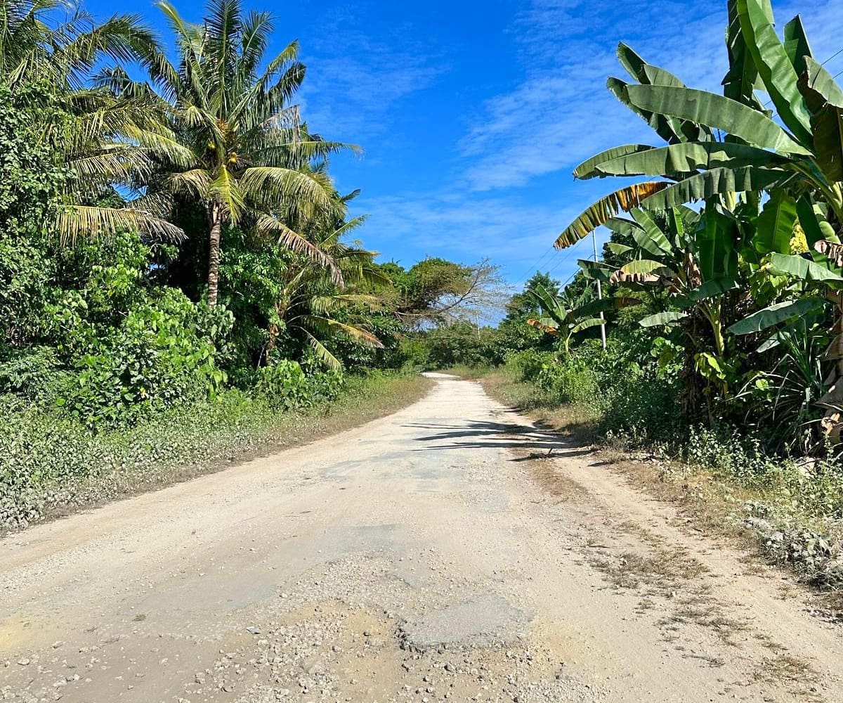 Pure beachfront. 0.5 hectares of untouched coastline for 25 per sqm.