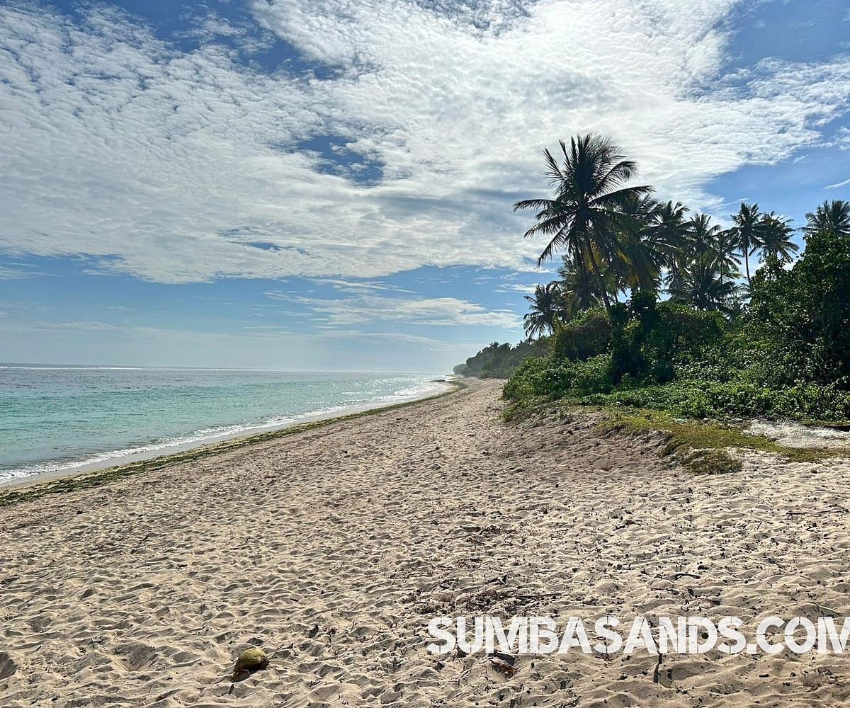 Pure beachfront. 0.5 hectares of untouched coastline for 25 per sqm.