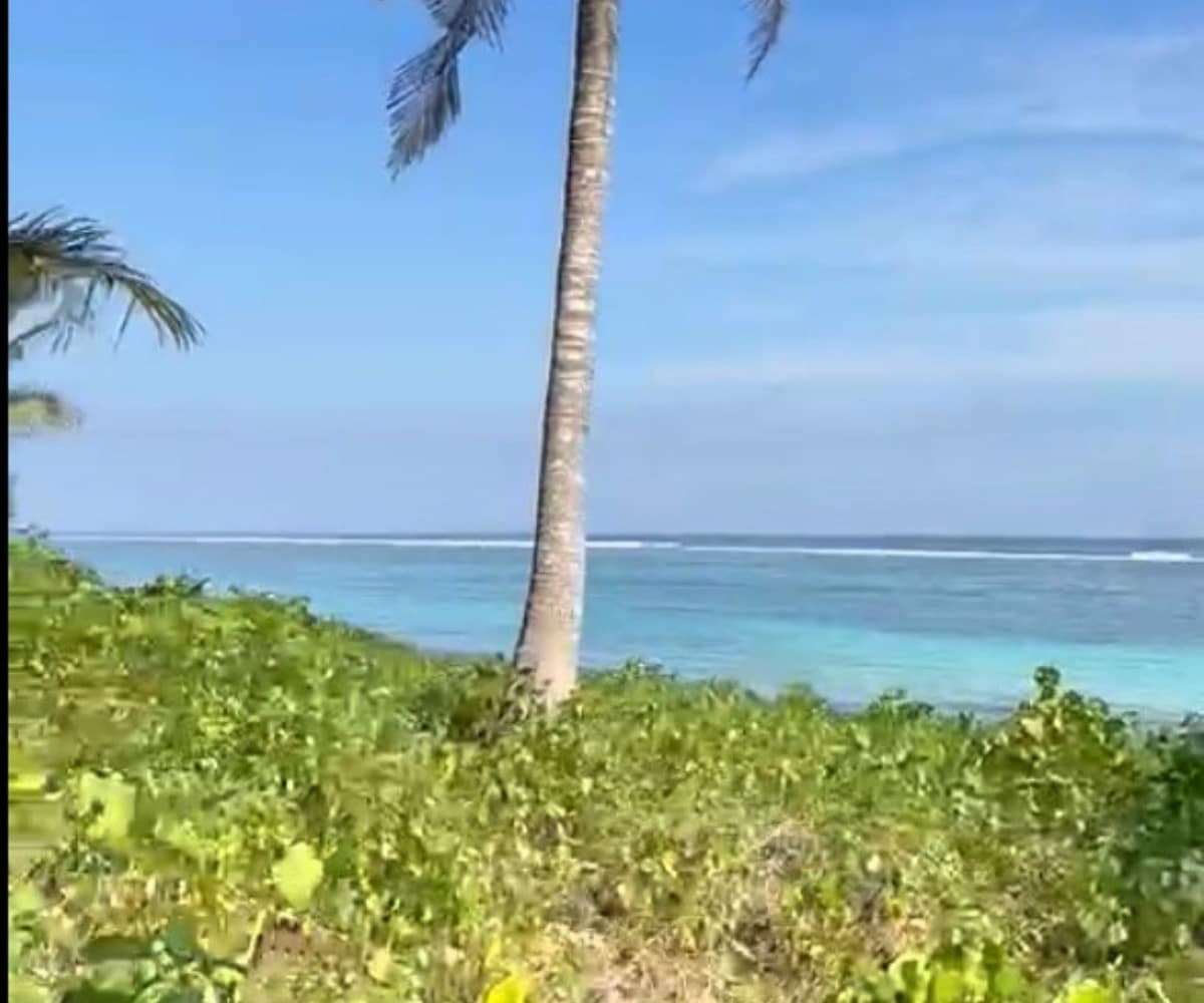 Pure beachfront. 0.5 hectares of untouched coastline for 25 per sqm.
