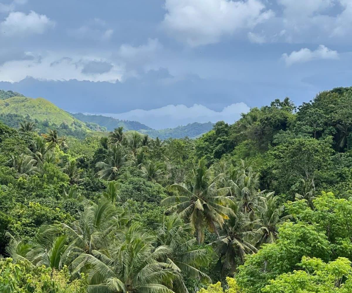 A stunning, elevated coastal view looking down from a lush hilltop. A local horse grazes peacefully in the vibrant green foreground, while the expansive blue waters of the Indian Ocean and distinct white surf breaks stretch across the horizon.
