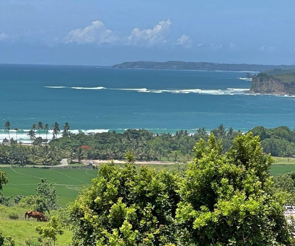 A stunning, elevated coastal view looking down from a lush hilltop. A local horse grazes peacefully in the vibrant green foreground, while the expansive blue waters of the Indian Ocean and distinct white surf breaks stretch across the horizon.