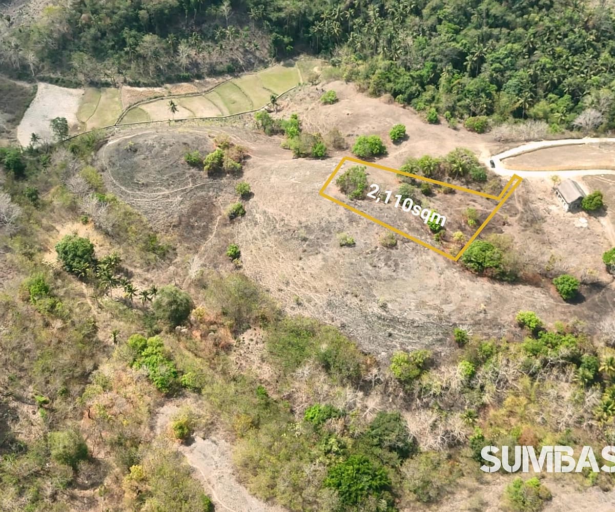 A stunning, elevated coastal view looking down from a lush hilltop. A local horse grazes peacefully in the vibrant green foreground, while the expansive blue waters of the Indian Ocean and distinct white surf breaks stretch across the horizon.