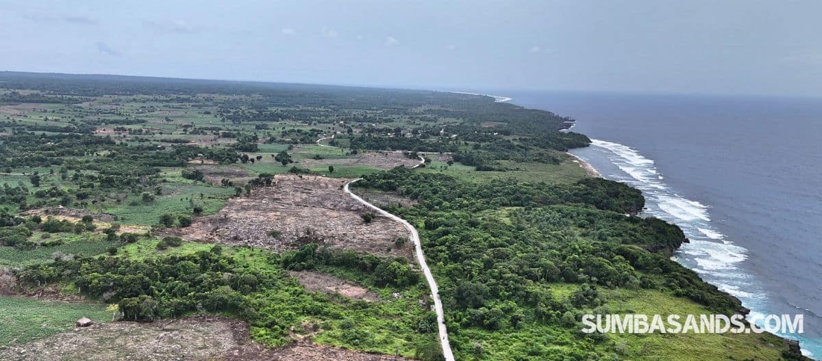 A high-resolution aerial view of two separate, rectangular land parcels situated next to each other within a dense green forest. A paved asphalt road borders the plots, leading toward the turquoise waters of Halete Beach.