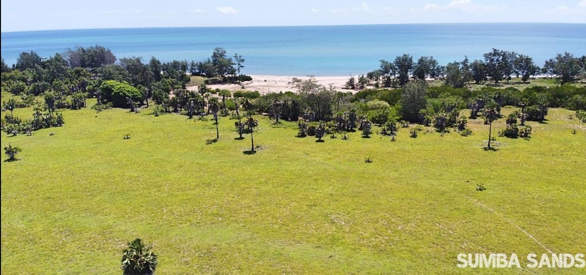 Sumba 20ha coastline beachfront land
