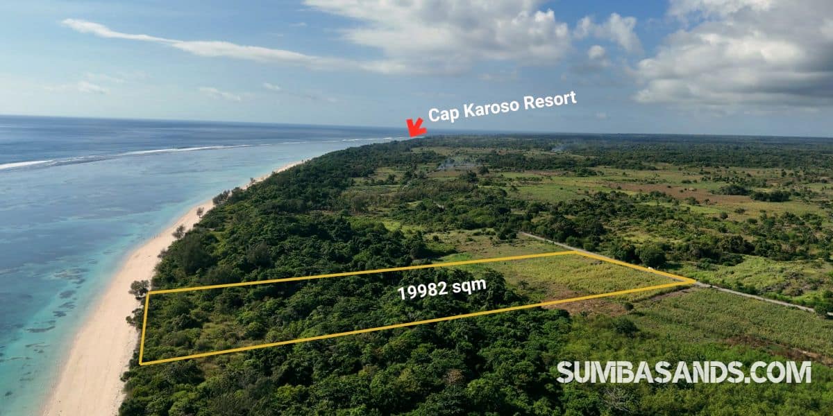 An aerial drone photograph highlighting the defined yellow boundary line of the 19,982 sqm beachfront plot in Kodi, West Sumba. The plot features thick green trees and open fields running from a main road directly down to a wide, powdery white sand beach bordering crystalline turquoise reef waters.