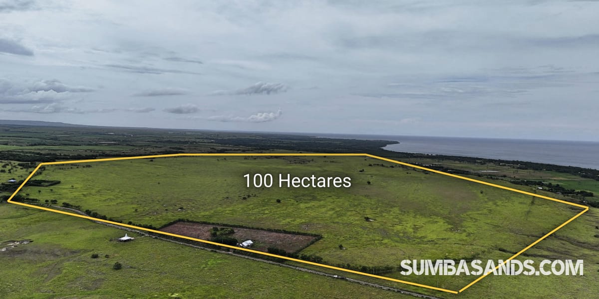 A breathtaking wide-angle drone shot showing the vast 100-hectare expanse of Patawang Hillside, with plotted boundaries overlooking the turquoise East Sumba coastline.