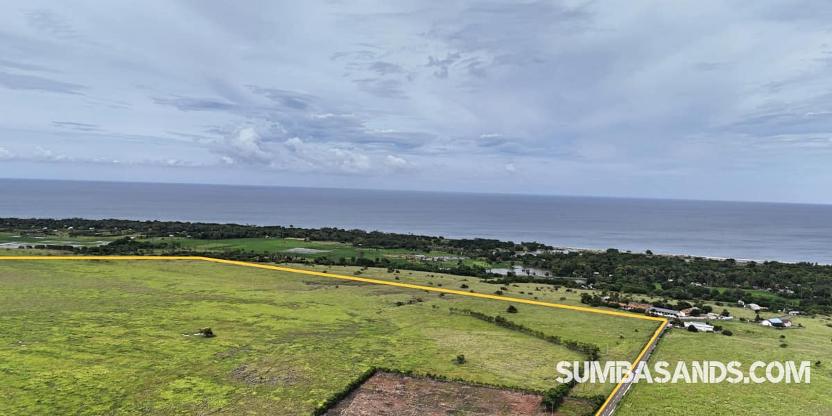 A breathtaking wide-angle drone shot showing the vast 100-hectare expanse of Patawang Hillside, with plotted boundaries overlooking the turquoise East Sumba coastline.
