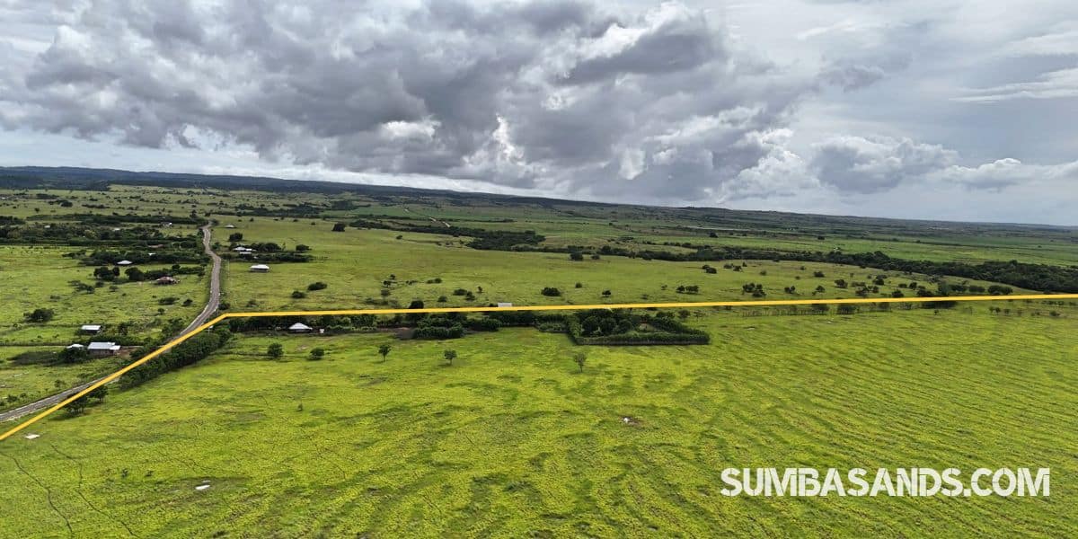 A breathtaking wide-angle drone shot showing the vast 100-hectare expanse of Patawang Hillside, with plotted boundaries overlooking the turquoise East Sumba coastline.