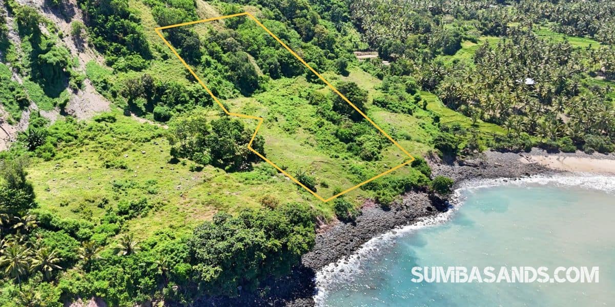 : A stunning drone shot of the 1.1-hectare Pahola Beachfront Cliff Estate, showing the lush green cliff edge meeting the turquoise waters of the Indian Ocean next to Rua Beach.