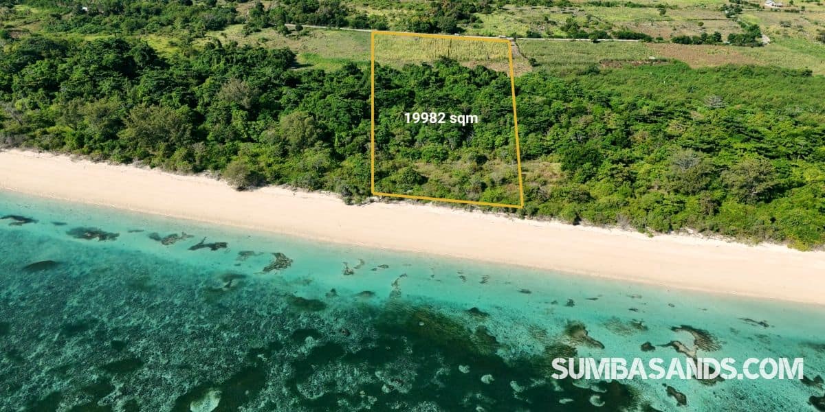 An aerial drone photograph highlighting the defined yellow boundary line of the 19,982 sqm beachfront plot in Kodi, West Sumba. The plot features thick green trees and open fields running from a main road directly down to a wide, powdery white sand beach bordering crystalline turquoise reef waters.