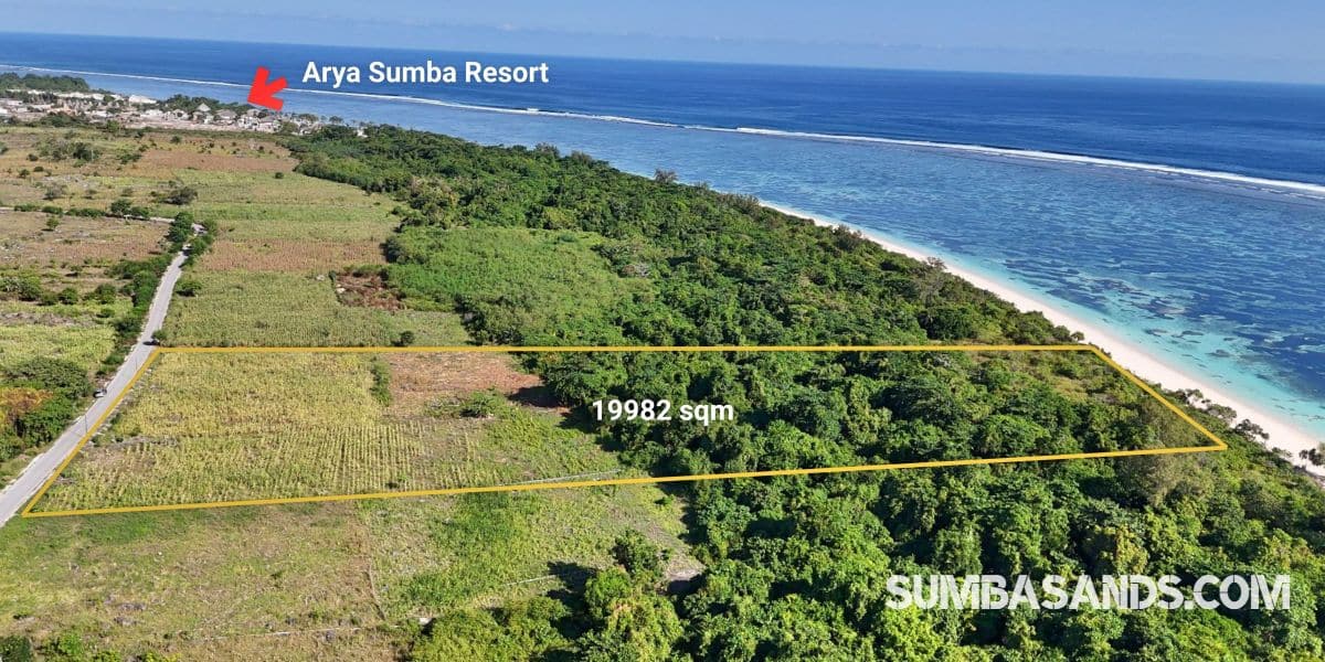 An aerial drone photograph highlighting the defined yellow boundary line of the 19,982 sqm beachfront plot in Kodi, West Sumba. The plot features thick green trees and open fields running from a main road directly down to a wide, powdery white sand beach bordering crystalline turquoise reef waters.