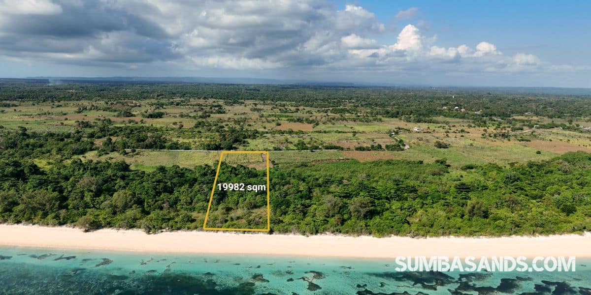 An aerial drone photograph highlighting the defined yellow boundary line of the 19,982 sqm beachfront plot in Kodi, West Sumba. The plot features thick green trees and open fields running from a main road directly down to a wide, powdery white sand beach bordering crystalline turquoise reef waters.