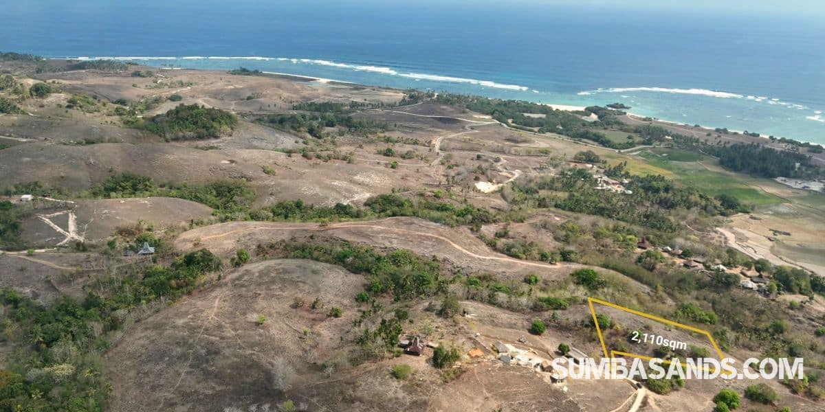 A stunning, elevated coastal view looking down from a lush hilltop. A local horse grazes peacefully in the vibrant green foreground, while the expansive blue waters of the Indian Ocean and distinct white surf breaks stretch across the horizon.