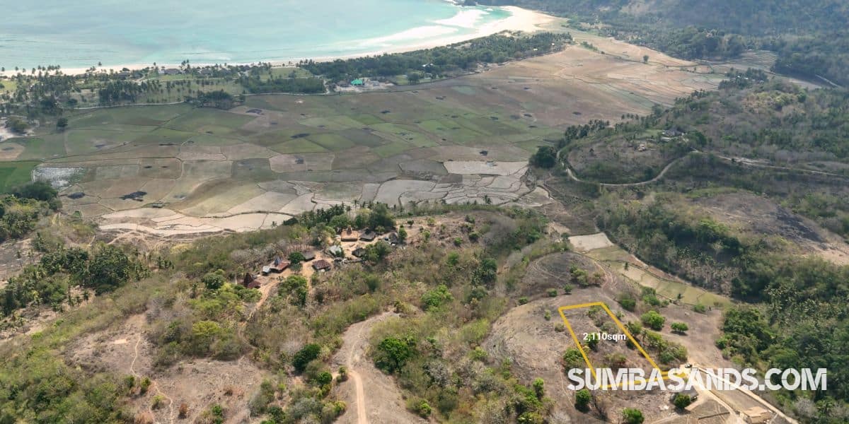 A stunning, elevated coastal view looking down from a lush hilltop. A local horse grazes peacefully in the vibrant green foreground, while the expansive blue waters of the Indian Ocean and distinct white surf breaks stretch across the horizon.