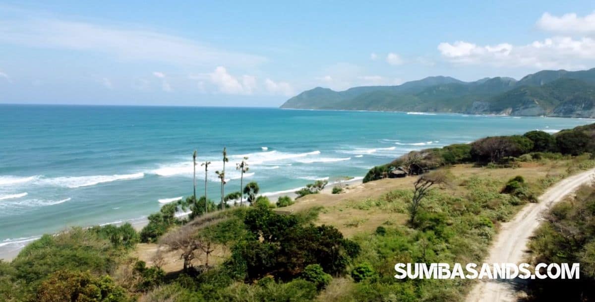 Southeast Sumba Surf Plots – 4 Beachfront Parcels for Sale