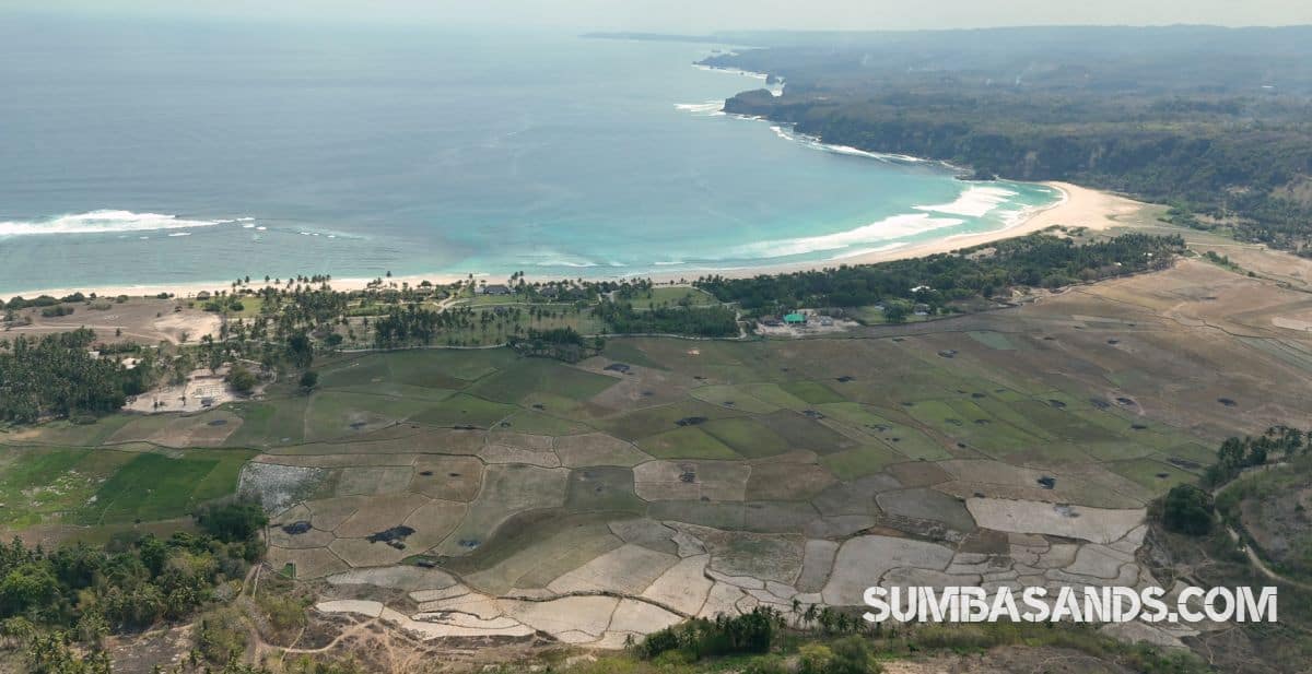 A stunning, elevated coastal view looking down from a lush hilltop. A local horse grazes peacefully in the vibrant green foreground, while the expansive blue waters of the Indian Ocean and distinct white surf breaks stretch across the horizon.