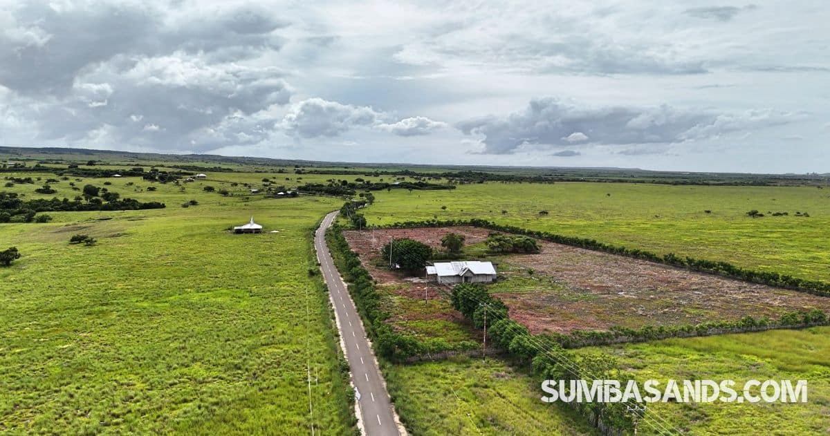 A breathtaking wide-angle drone shot showing the vast 100-hectare expanse of Patawang Hillside, with plotted boundaries overlooking the turquoise East Sumba coastline.