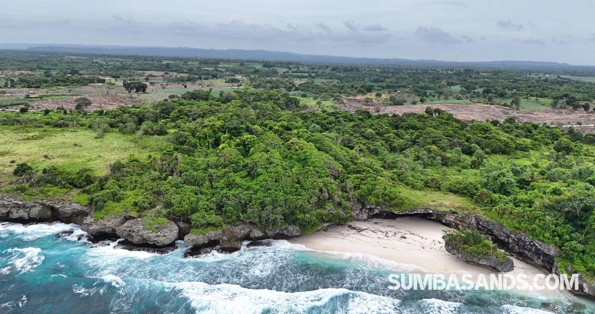 A high-resolution aerial view of two separate, rectangular land parcels situated next to each other within a dense green forest. A paved asphalt road borders the plots, leading toward the turquoise waters of Halete Beach.