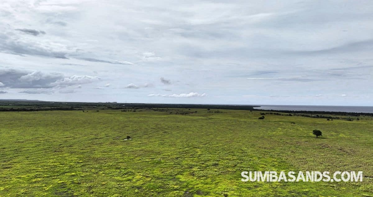 A breathtaking wide-angle drone shot showing the vast 100-hectare expanse of Patawang Hillside, with plotted boundaries overlooking the turquoise East Sumba coastline.
