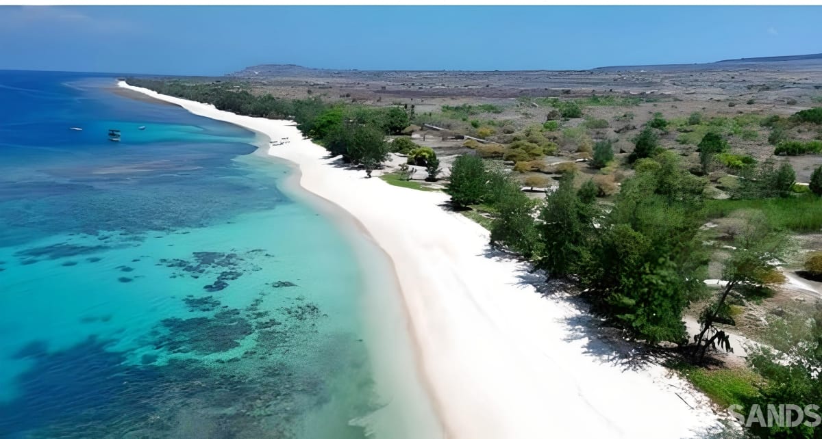 Hamba Praning 2ha beachfront land for sale in Sumba Indonesia