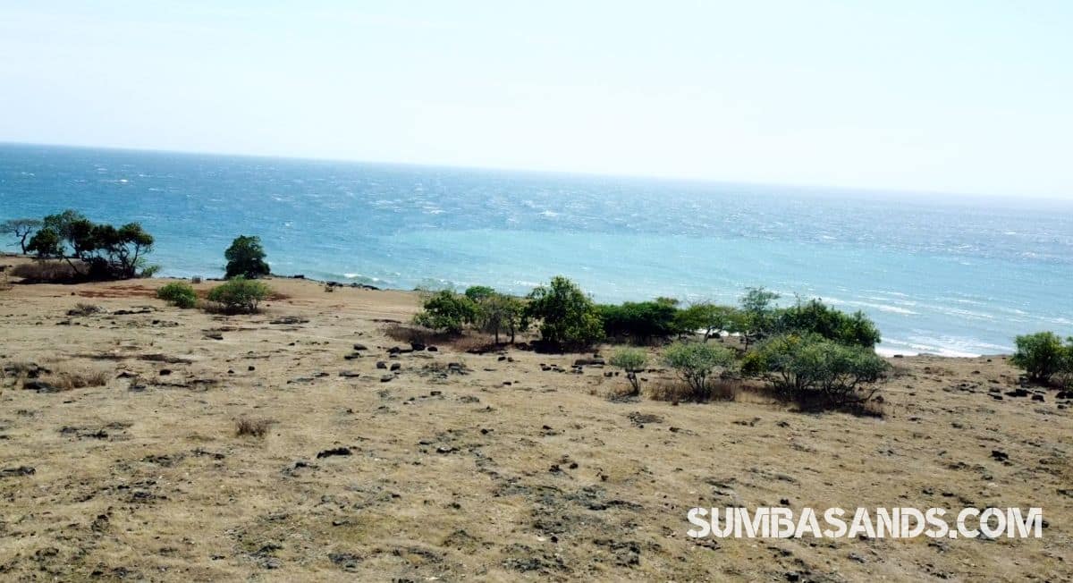Aerial panorama of a 7-hectare cliffside plot on Okiedokie Beach, North Sumba, featuring turquoise waters and dramatic limestone gradients