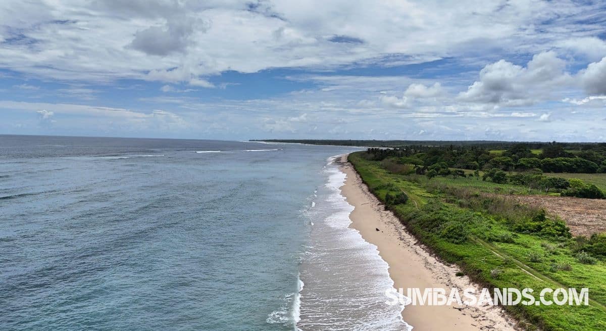 An aerial shot of the Ratenggaro Beach Access Plots. The image captures flat, lush land separated from the turquoise Indian Ocean by a government road in West Sumba.