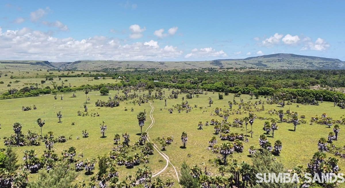 Sumba 20ha coastline beachfront land