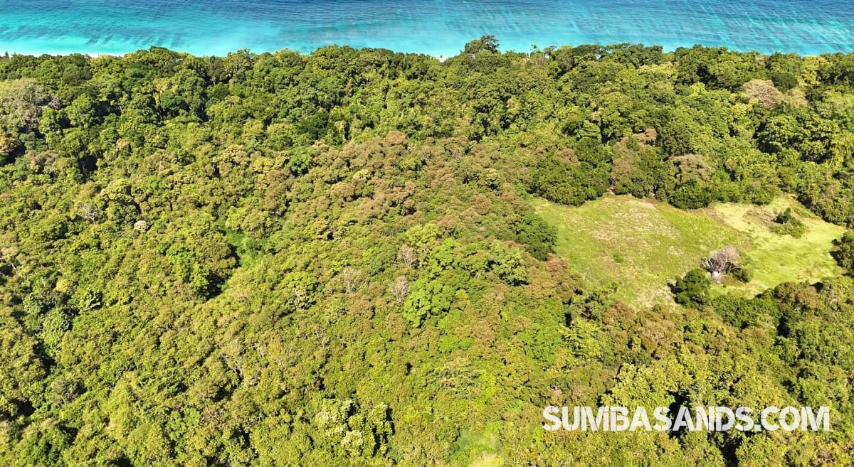 A breathtaking aerial drone photograph overlooking the pristine coastline of West Sumba. The image captures incredibly calm, vibrant turquoise ocean waters gently meeting bright white sandy beaches, bordered by dense, lush tropical green vegetation.