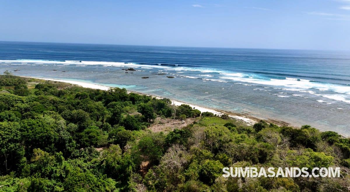 Sumba 23ha Peninsula Beachfront Land for Sale | Matauki Bay Investment Opportunity