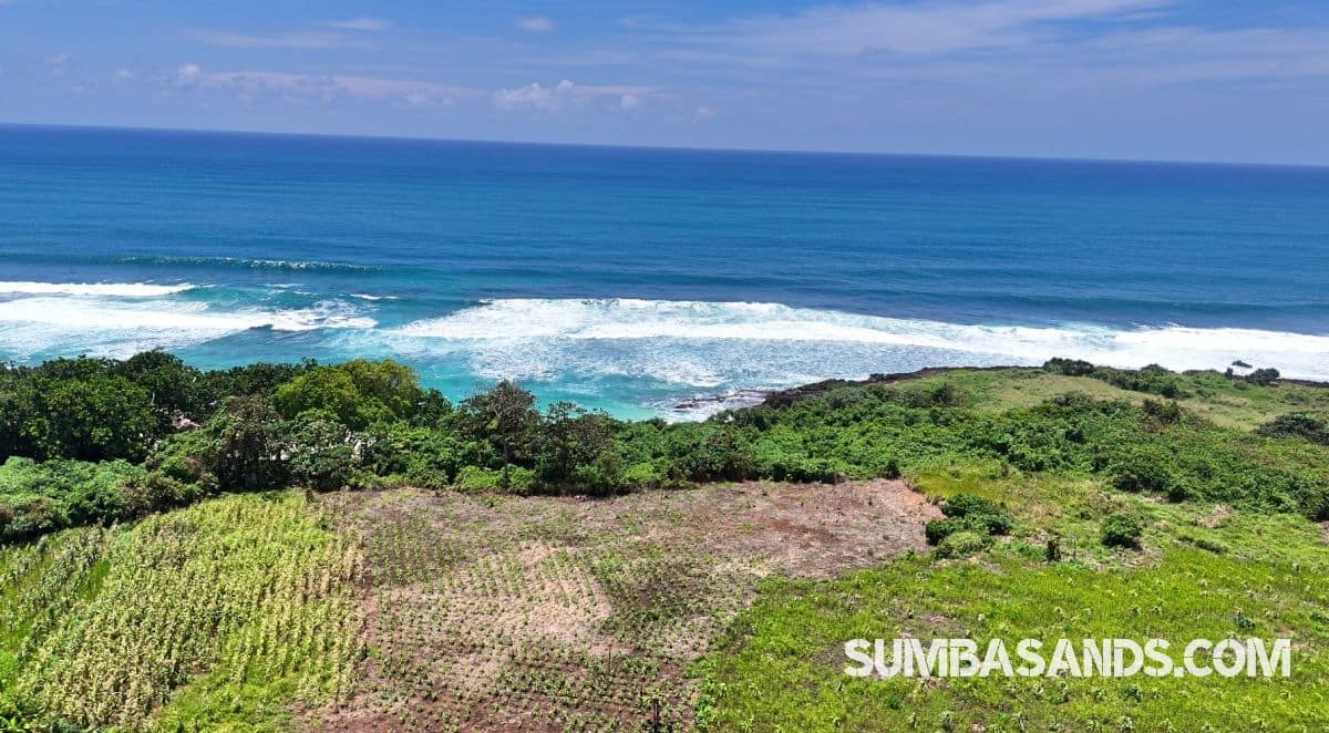 A panoramic aerial view of the Waibuku Private Beach Estate. The image captures 3.4 hectares of lush green land meeting a deep white-sand beach with turquoise waters in Pannengo Ede, Southwest Sumba.
