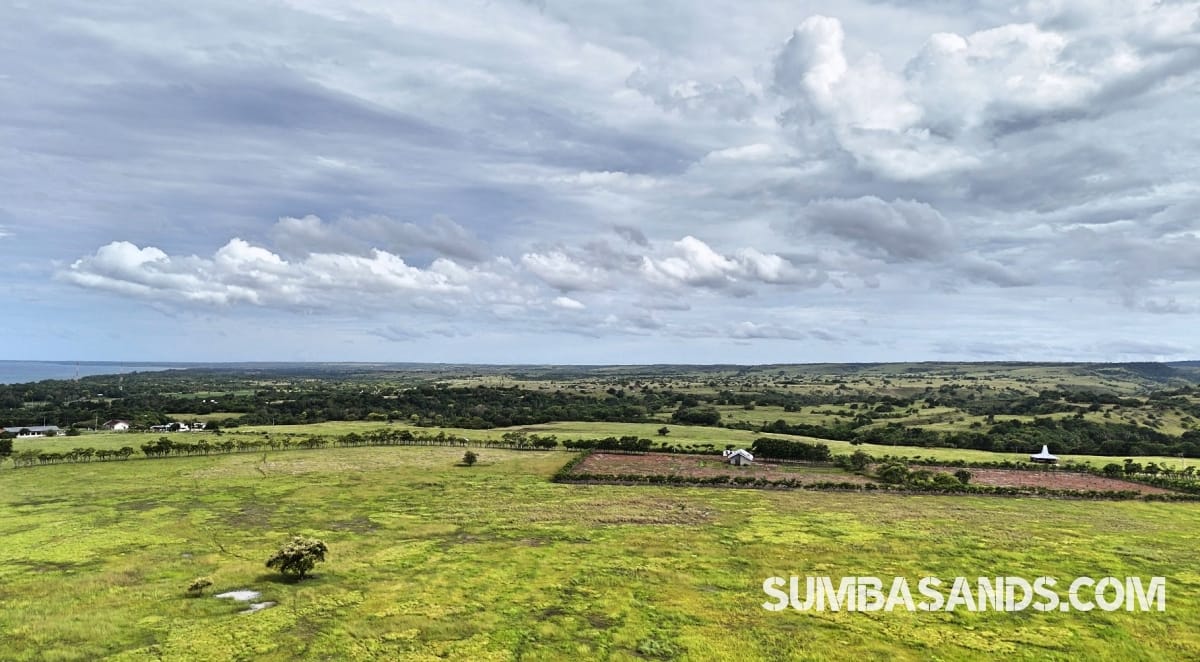 A breathtaking wide-angle drone shot showing the vast 100-hectare expanse of Patawang Hillside, with plotted boundaries overlooking the turquoise East Sumba coastline.
