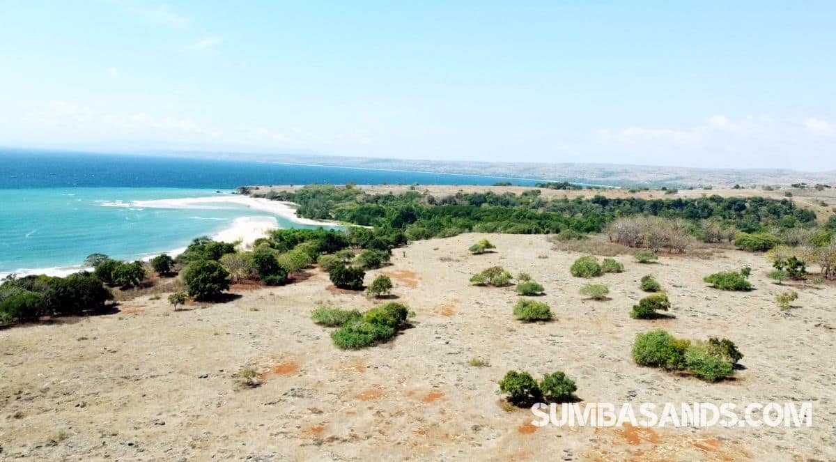 North Sumba Cliff Beachfront | 7ha Freehold Coastal Land in Indonesia