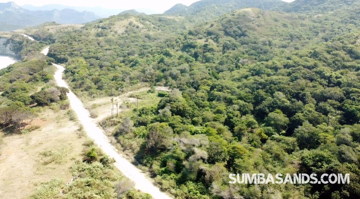 Southeast Sumba Surf Plots – 4 Beachfront Parcels for Sale