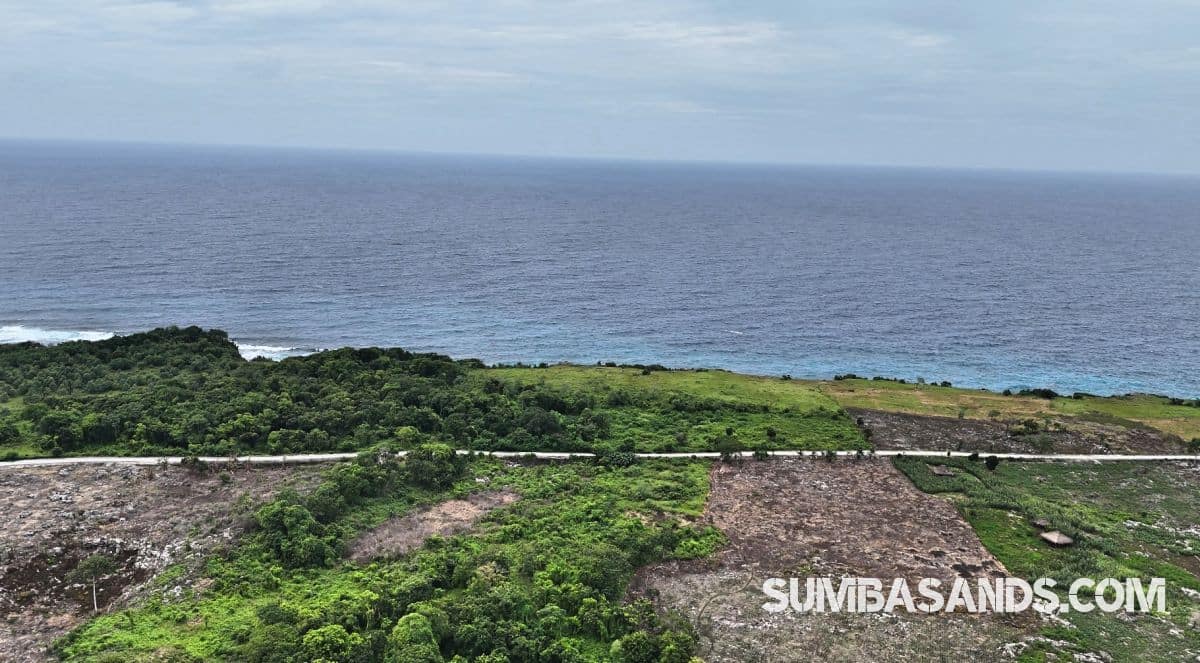 A high-resolution aerial view of two separate, rectangular land parcels situated next to each other within a dense green forest. A paved asphalt road borders the plots, leading toward the turquoise waters of Halete Beach.