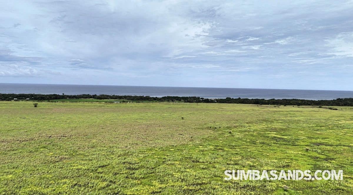 A breathtaking wide-angle drone shot showing the vast 100-hectare expanse of Patawang Hillside, with plotted boundaries overlooking the turquoise East Sumba coastline.