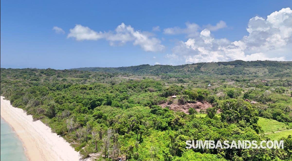 An expansive high-angle view showcasing the striking color contrast of the calm bay. The crystal-clear, shallow turquoise waters reveal beautifully textured coral reefs below the surface, stretching out toward the deep blue horizon under a clear sky.