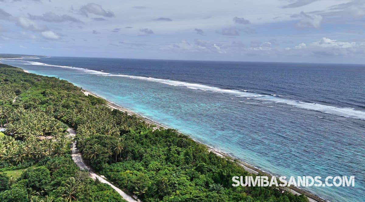 Pure beachfront. 0.5 hectares of untouched coastline for 25 per sqm.