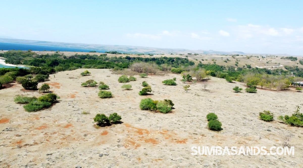 North Sumba Cliff Beachfront | 7ha Freehold Coastal Land in Indonesia