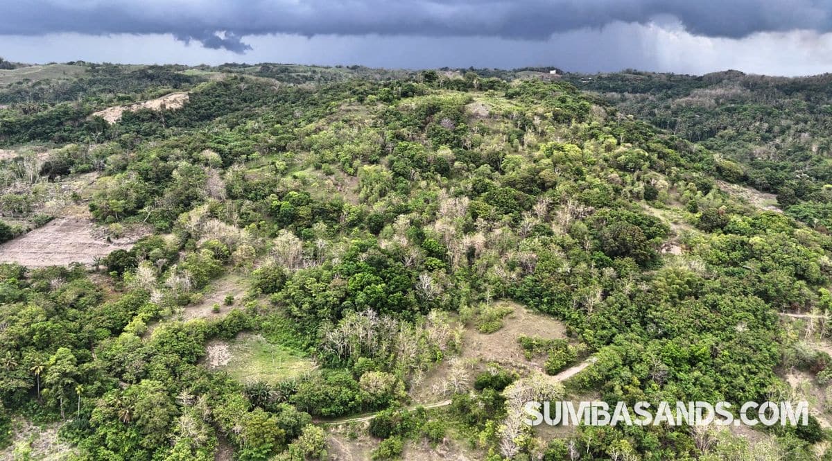 Southwest Sumba 1.6ha Hill Plot With Ocean View I Rua Beach