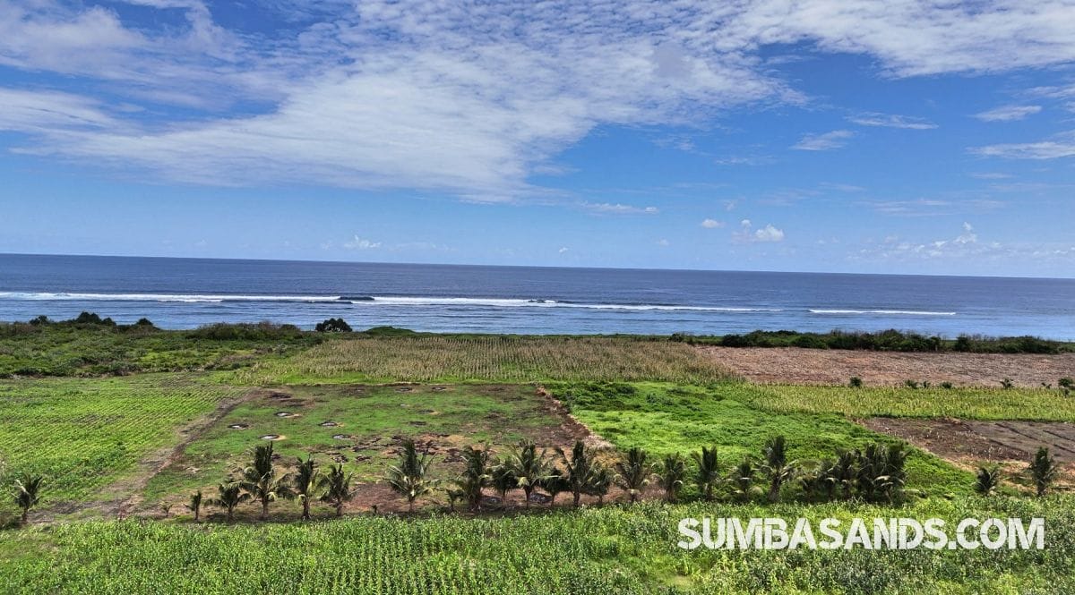 An aerial shot of the Ratenggaro Beach Access Plots. The image captures flat, lush land separated from the turquoise Indian Ocean by a government road in West Sumba.