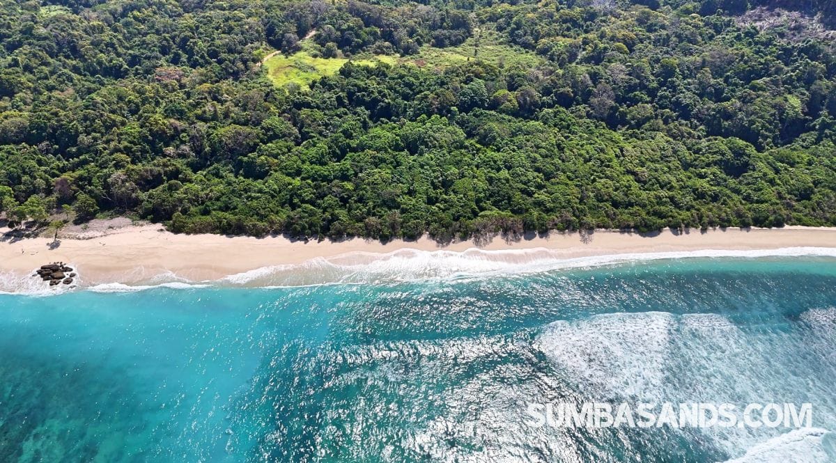 A breathtaking aerial drone photograph overlooking the pristine coastline of West Sumba. The image captures incredibly calm, vibrant turquoise ocean waters gently meeting bright white sandy beaches, bordered by dense, lush tropical green vegetation.