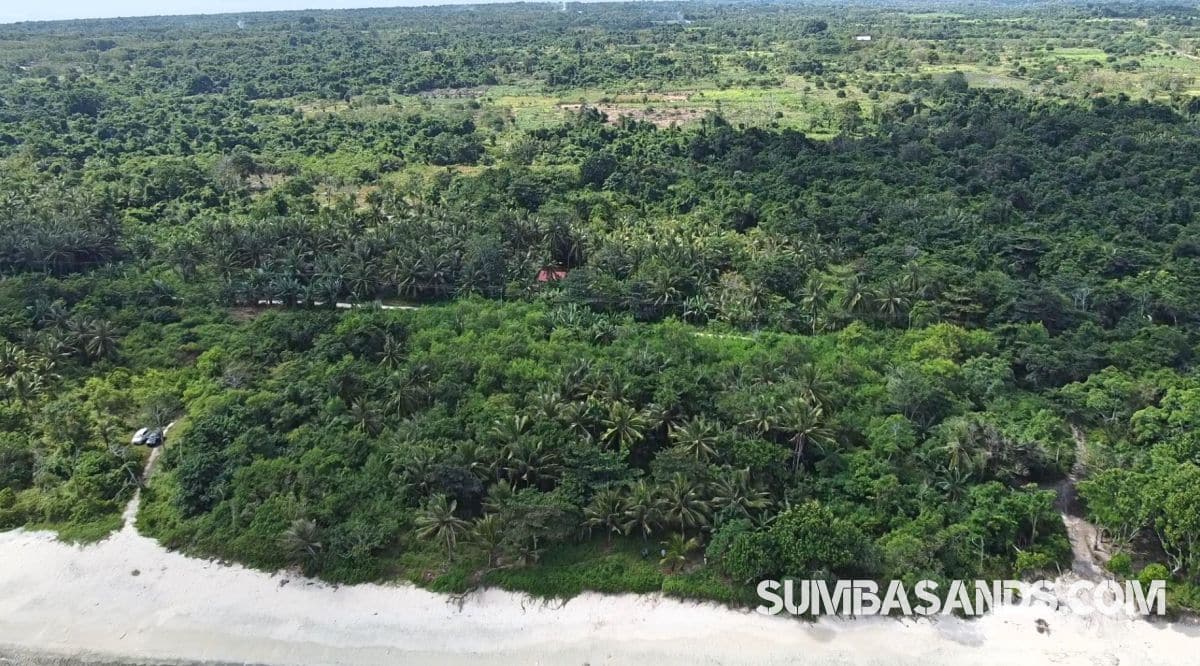 Kodi Beachfront Land Near Cap Karoso – 1.15ha for Sale