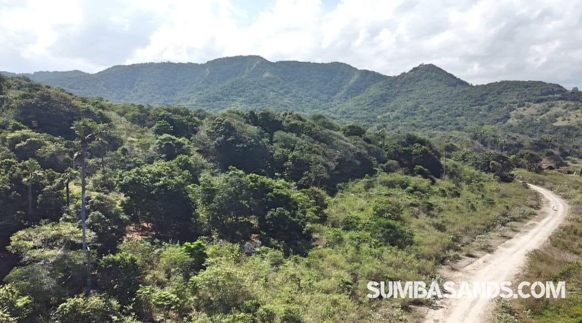 Southeast Sumba Surf Plots – 4 Beachfront Parcels for Sale