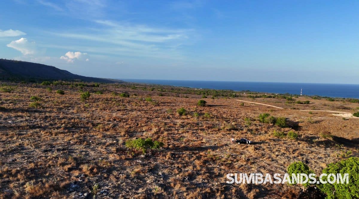 Premier 5-hectare Waingapu Hilltop Investment Land for sale in East Sumba. 360° ocean and hill views, 10 mins from airport. High growth zone. EUR 72,000.