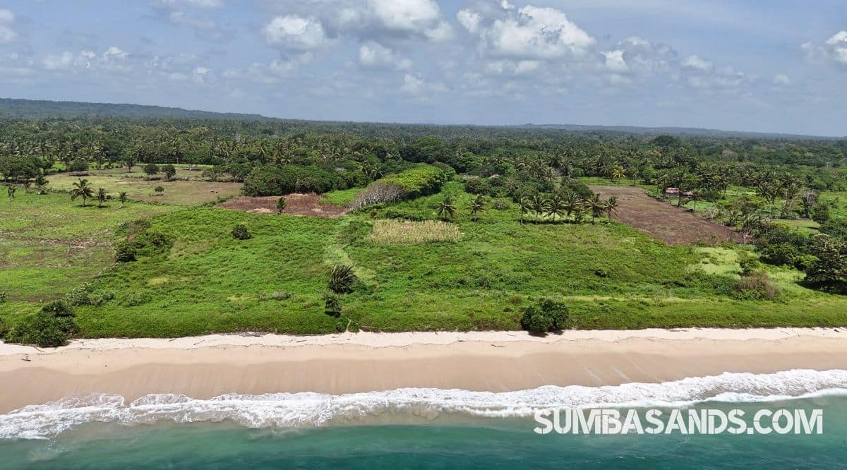 A massive aerial panoramic of the 6.6-hectare Wainyapu Virgin Beachfront Estate. The image captures miles of untouched white sand meeting crystal-clear turquoise waters and vibrant green coastal plains.