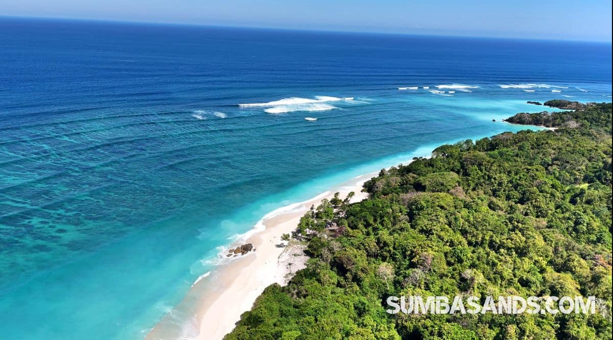 A breathtaking aerial drone photograph overlooking the pristine coastline of West Sumba. The image captures incredibly calm, vibrant turquoise ocean waters gently meeting bright white sandy beaches, bordered by dense, lush tropical green vegetation.