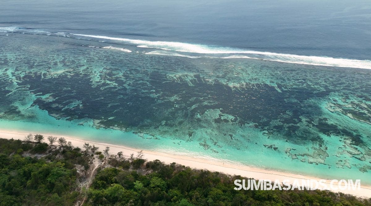 A breathtaking aerial drone photograph overlooking the pristine coastline of Kodi in West Sumba. The image captures vibrant turquoise ocean waters and shallow coral reefs gently meeting a bright white sandy beach, bordered by lush tropical green vegetation.